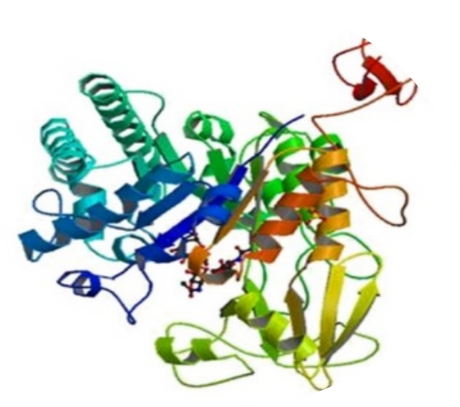 You'll want to hear about this micro-bio hack for your plants