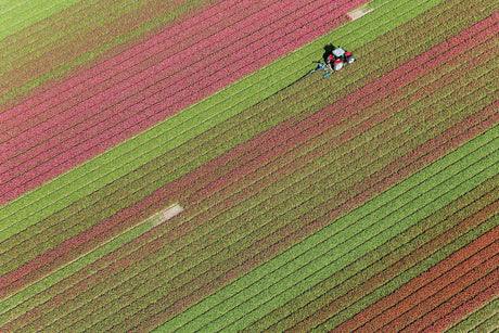 Approach to global soil degradation